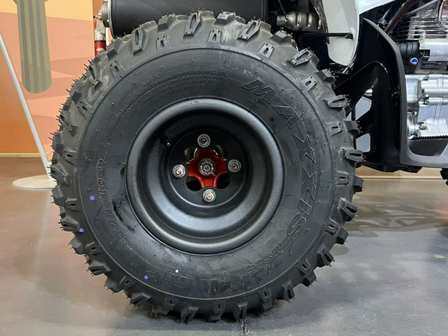2026 Honda TRX 250X