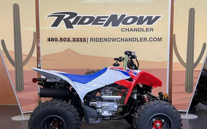 2026 Honda TRX 250X