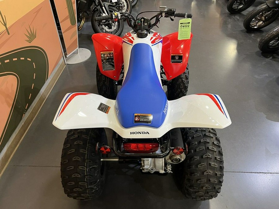 2026 Honda TRX 250X