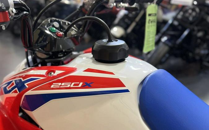 2026 Honda TRX 250X