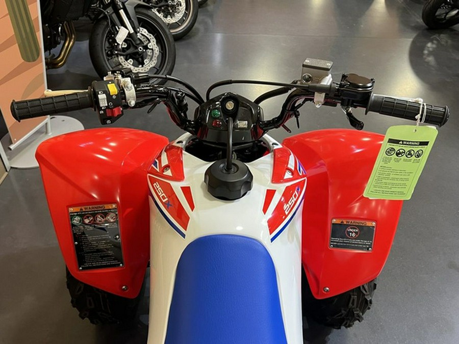2026 Honda TRX 250X