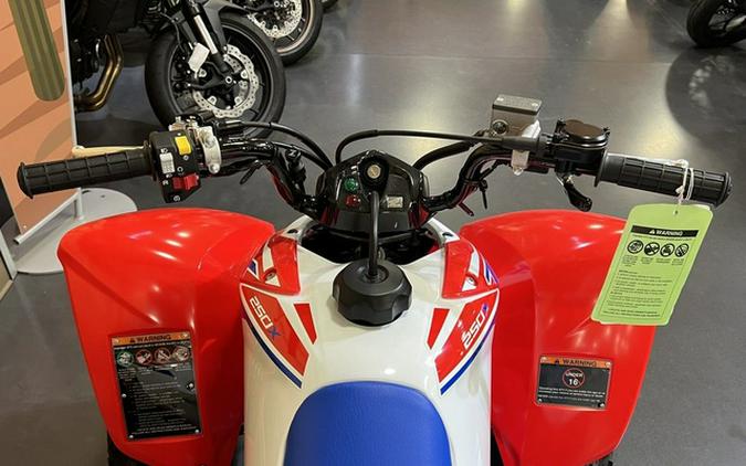 2026 Honda TRX 250X
