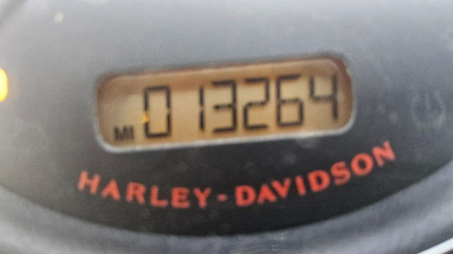 2023 Harley-Davidson Road King® Special