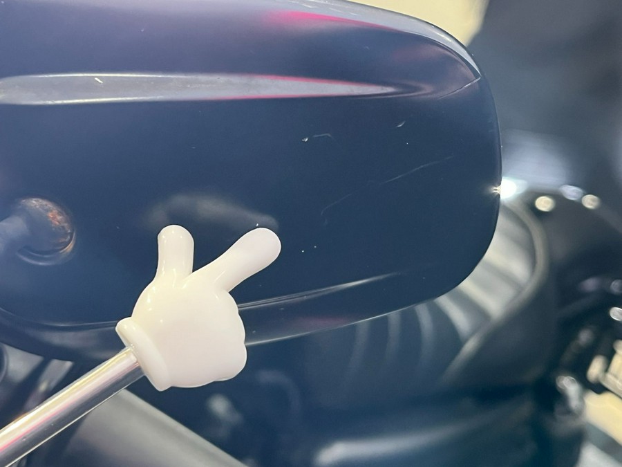 2019 Harley-Davidson Iron 883™