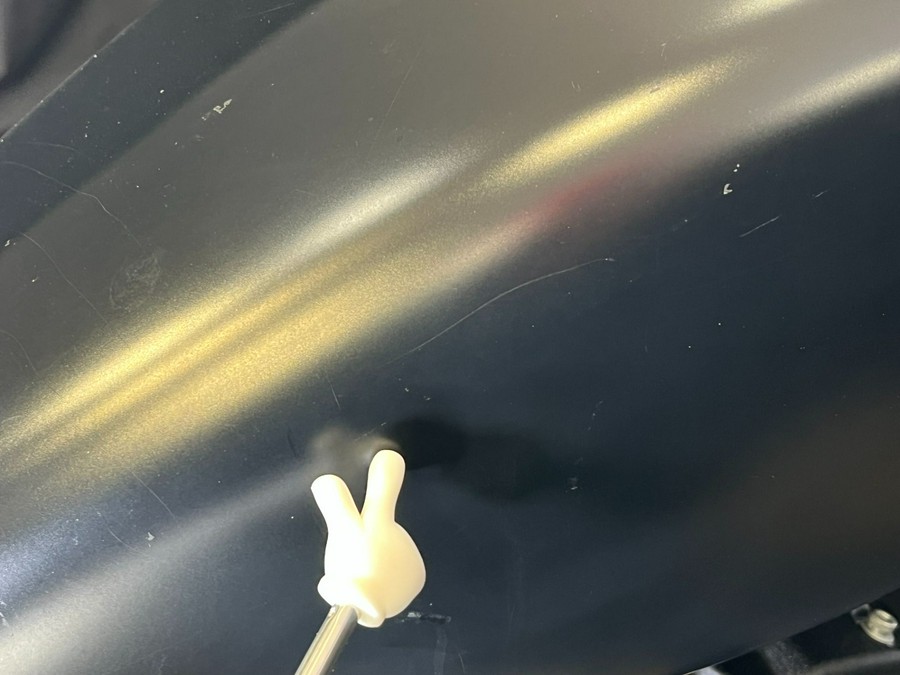 2019 Harley-Davidson Iron 883™