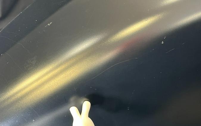 2019 Harley-Davidson Iron 883™