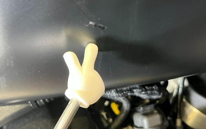 2019 Harley-Davidson Iron 883™