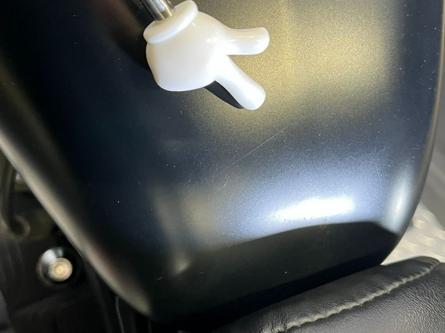 2019 Harley-Davidson Iron 883™