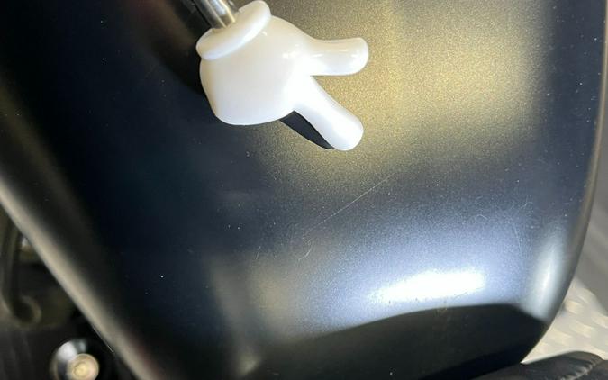 2019 Harley-Davidson Iron 883™