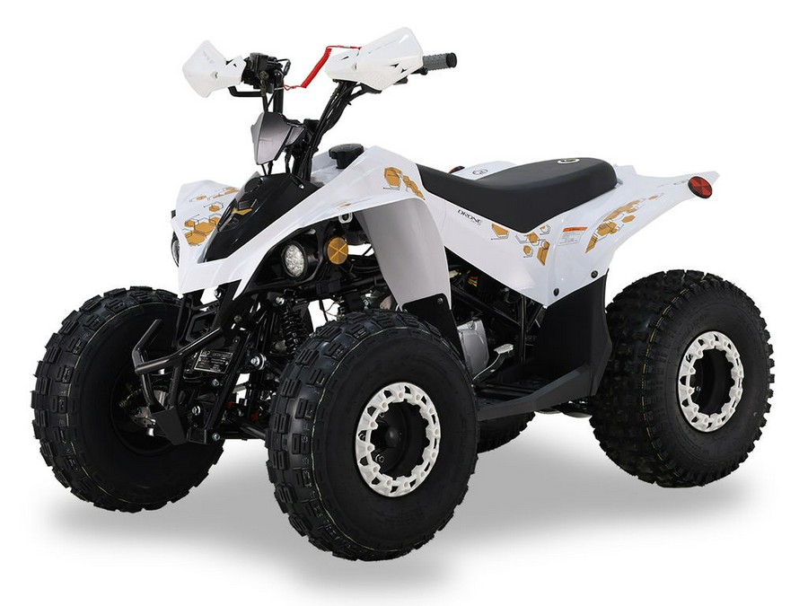 2026 BLP Motor Drone 125 EFI