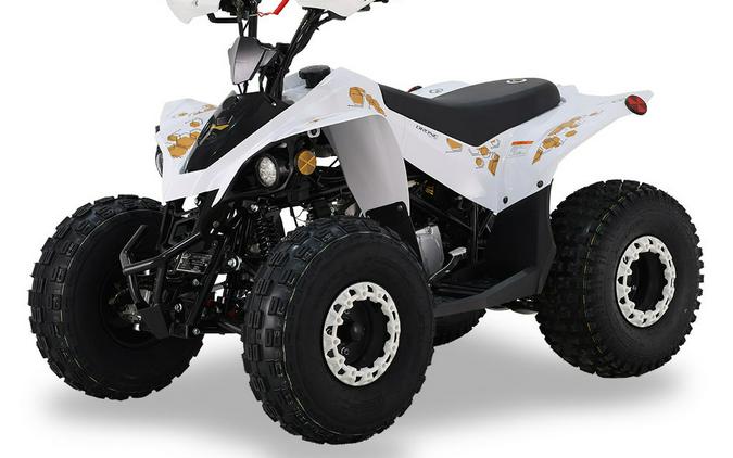 2026 BLP Motor Drone 125 EFI