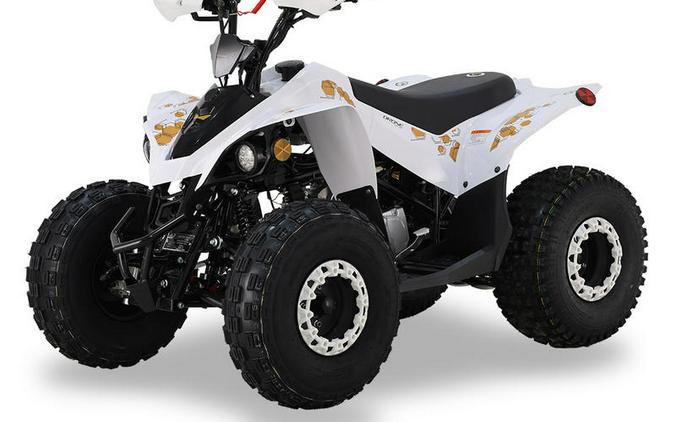 2026 BLP Motor Drone 125 EFI