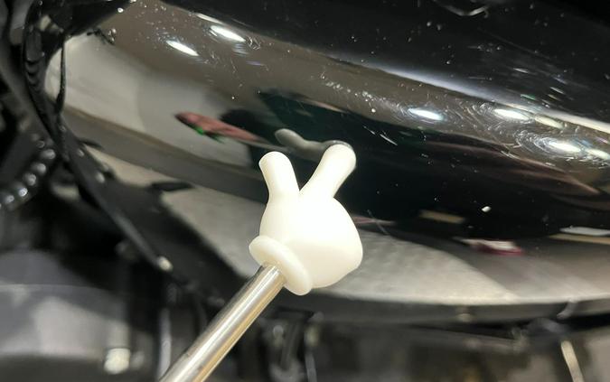 2022 Harley-Davidson Iron 883™