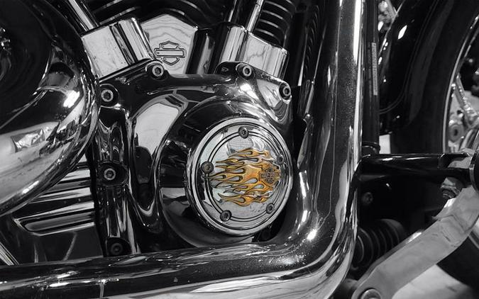 2004 Harley-Davidson® FXSTS - Springer Softail®