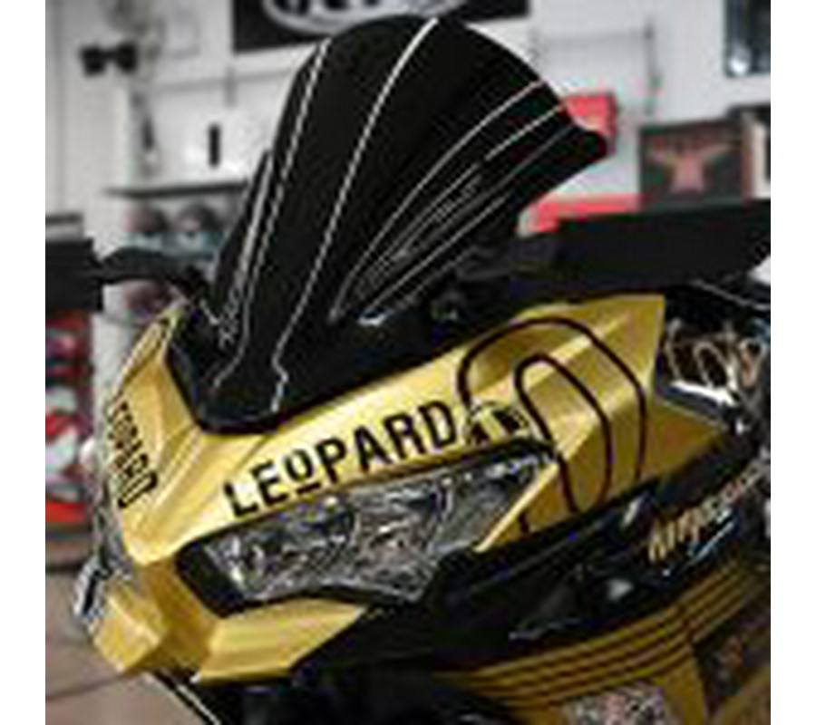 2023 Kawasaki Ninja 400