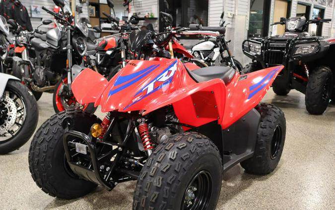 2024 Honda® TRX90X