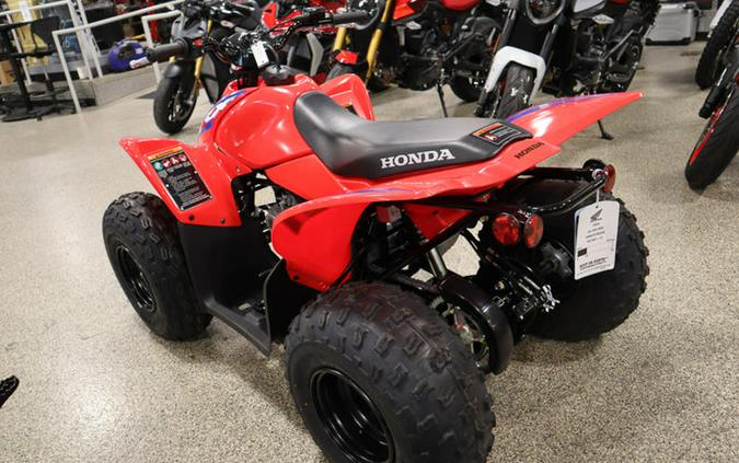 2024 Honda® TRX90X