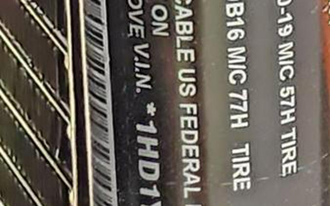 2024 Harley-Davidson® Streetbob Fxbbs