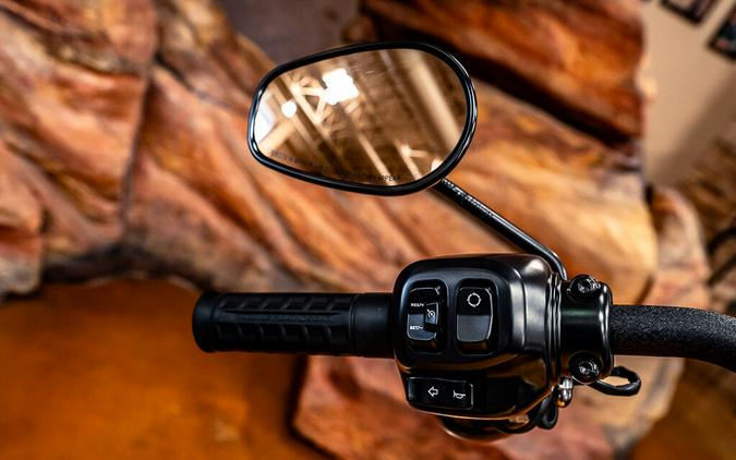 2025 Harley-Davidson Street Bob