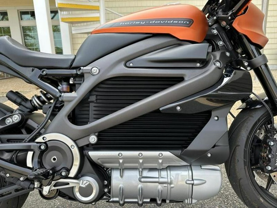 2020 Harley-Davidson® ELW - LiveWire™