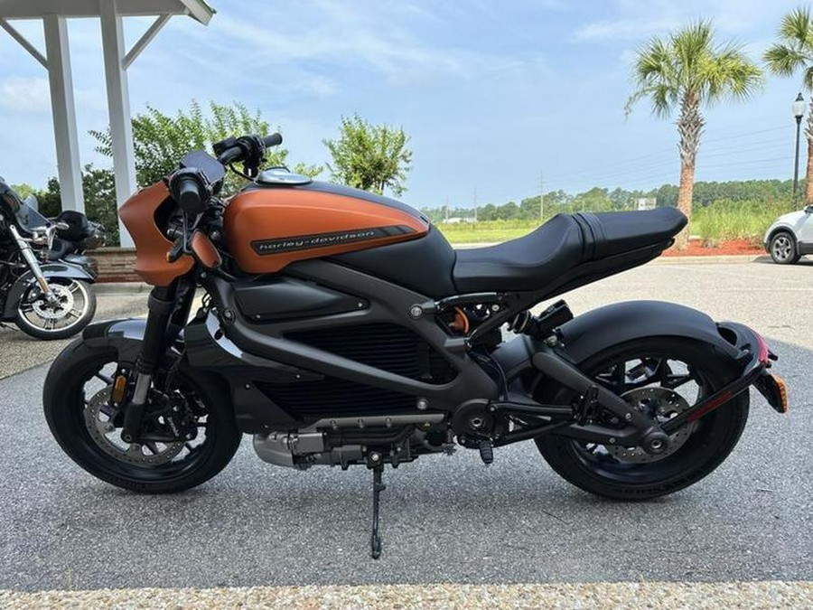 2020 Harley-Davidson® ELW - LiveWire™