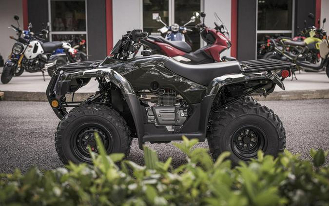 2024 Honda® Fourtrax Recon