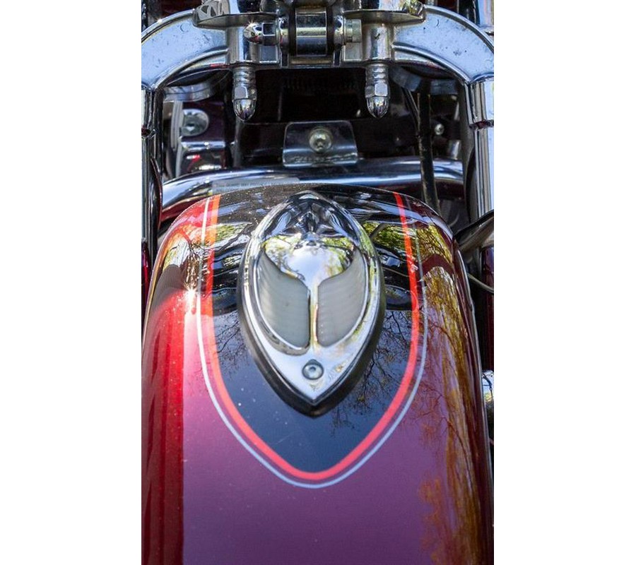 2002 Harley-Davidson FLSTS/FLSTSI Heritage Springer®