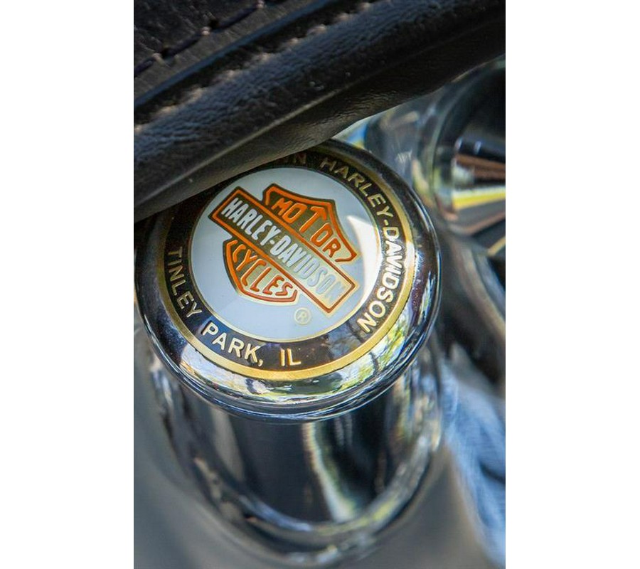 2002 Harley-Davidson FLSTS/FLSTSI Heritage Springer®