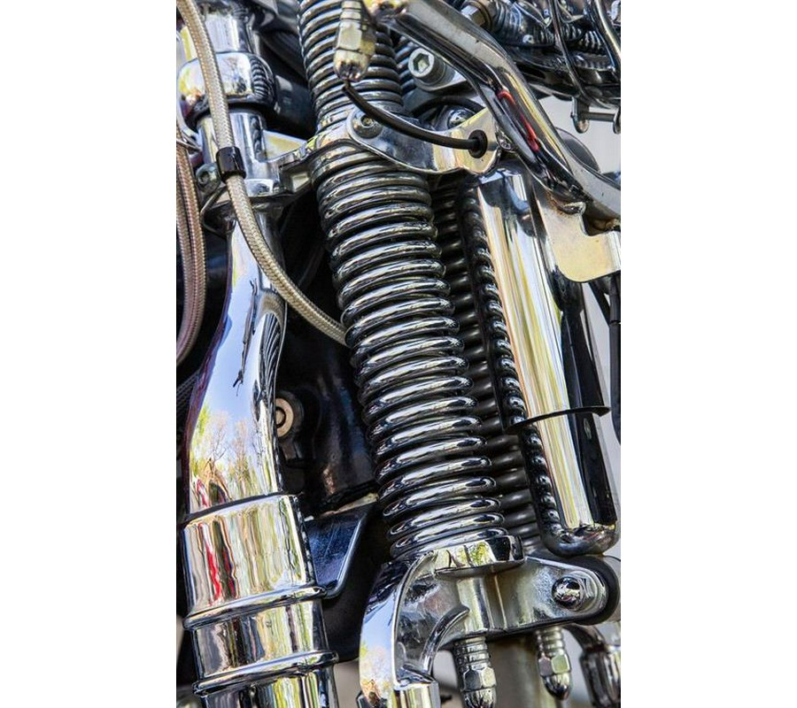 2002 Harley-Davidson FLSTS/FLSTSI Heritage Springer®