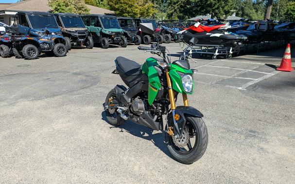 2024 Kawasaki Z125 Pro