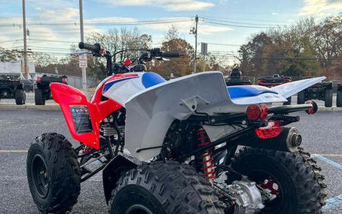 2026 Honda® TRX250X