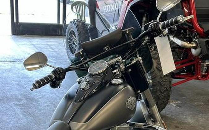 2017 Harley-Davidson® FLS - Softail® Slim®