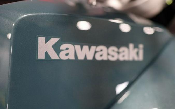 2026 Kawasaki KLE®500 SE ABS