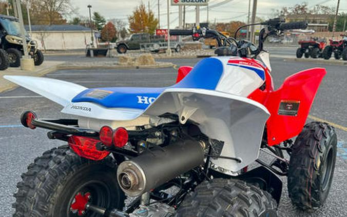 2026 Honda® TRX250X