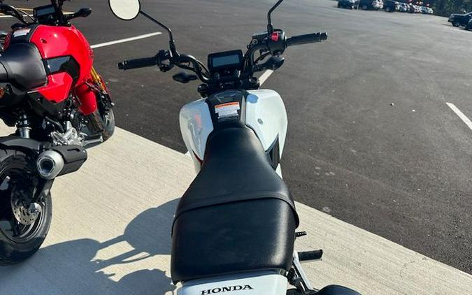 2025 Honda Grom ABS