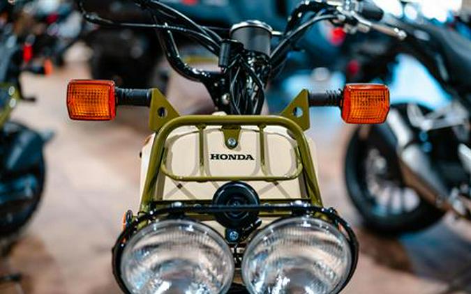 2024 Honda Ruckus