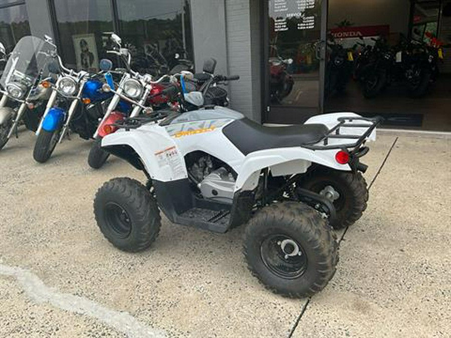 2024 Yamaha Grizzly 90