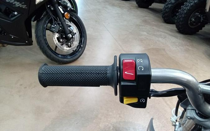 2025 Kawasaki KLX 110R