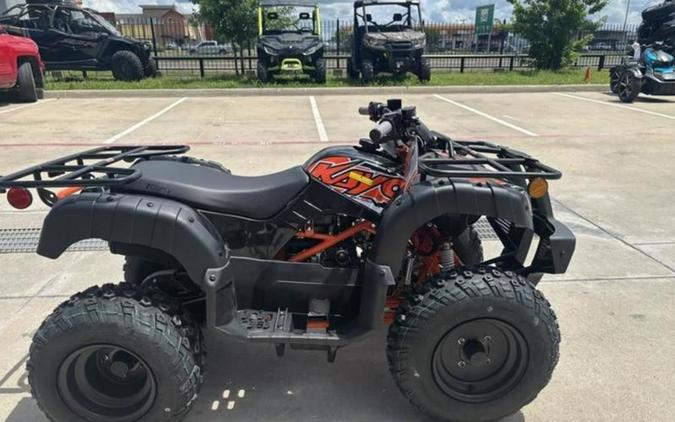 2025 Kayo Bull 150 EFI