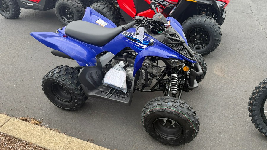 2026 Yamaha Raptor 110