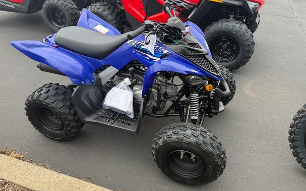 2026 Yamaha Raptor 110