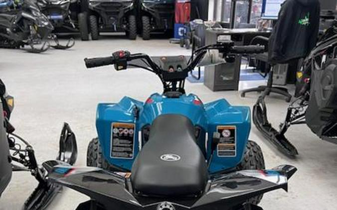 2026 Can-Am® Renegade 110 EFI