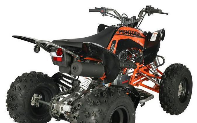 Cougar 250 Pentora Sport