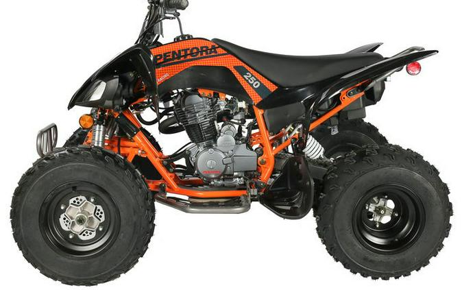 Cougar 250 Pentora Sport