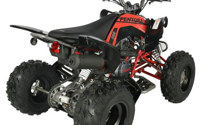 Cougar 250 Pentora Sport