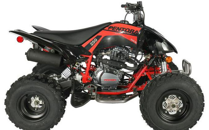 Cougar 250 Pentora Sport