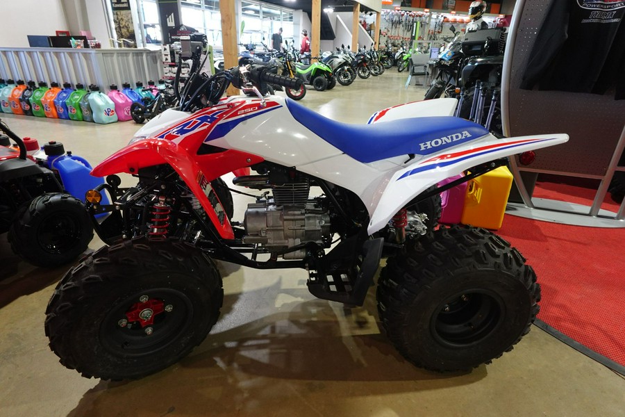 2026 Honda TRX250X