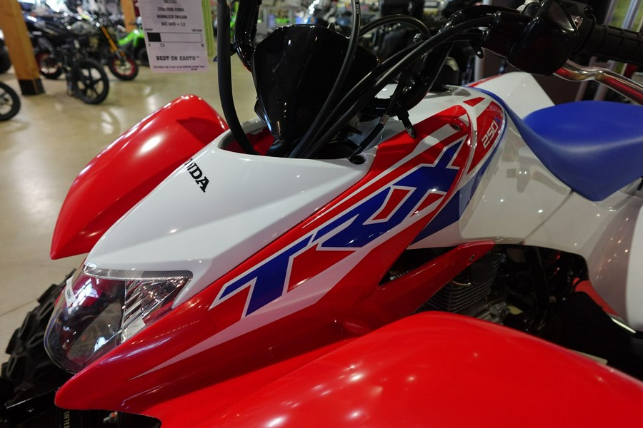 2026 Honda TRX250X