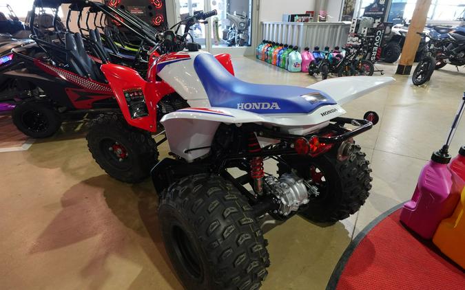 2026 Honda TRX250X
