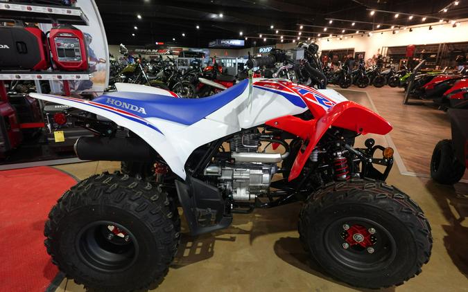 2026 Honda TRX250X